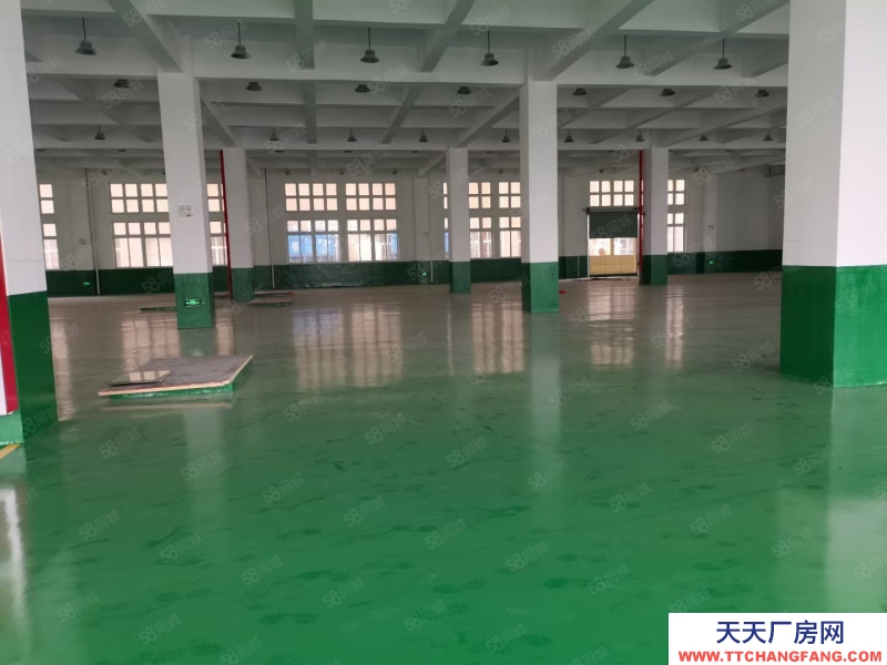 嘉兴秀洲(出租) 王店底楼无产值要求500至10000平厂房仓库出租