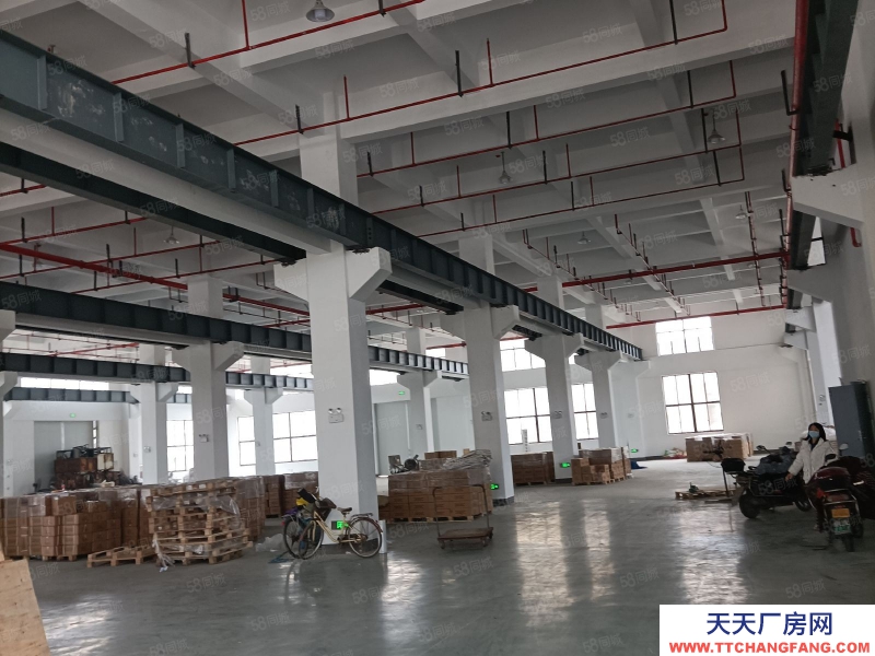 嘉兴秀洲(出租) 王店工业园1300平层高7米带行车价格23元每平大车进出方便
