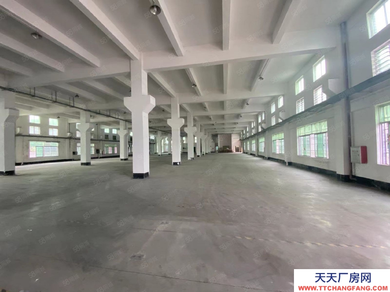 (出租) 清远佛冈县城 独院厂房 共2700方 带有铁硼空间 包含税票出租