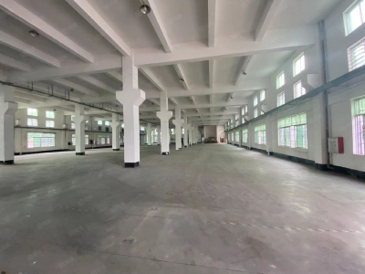 (出租) 清远佛冈县城 独院厂房 共2700方 带有铁硼空间 包含税票出租图2