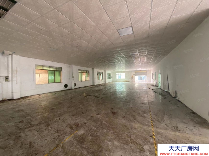 (出租) 清远佛冈县城 独院厂房 共4300方 可分租 带有办公楼 饭堂