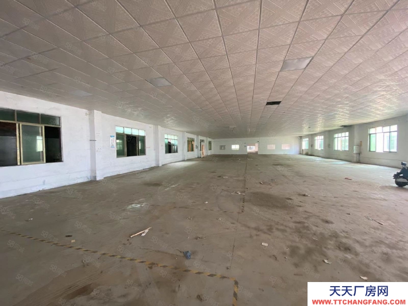 (出租) 清远佛冈县城 独院厂房 共4300方 可分租 带有办公楼 饭堂