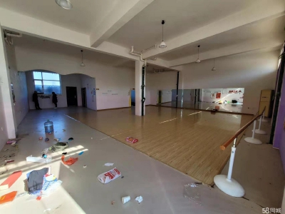 邯郸 临漳县  门市，仓库都可，可以仓库，生意出租图3