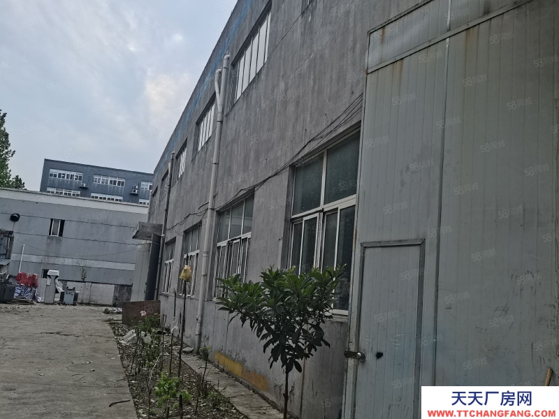 嘉兴秀洲(出售) 独栋 独门 独院 花园围绕一圈 6栋 诚心可面谈分割事项