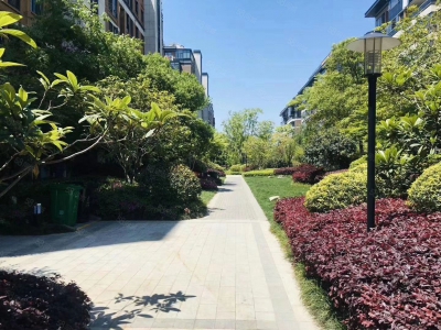 嘉兴秀洲(出售) 秀湖边北科建多层厂房写字楼1035平精装带楼顶400平露台图2
