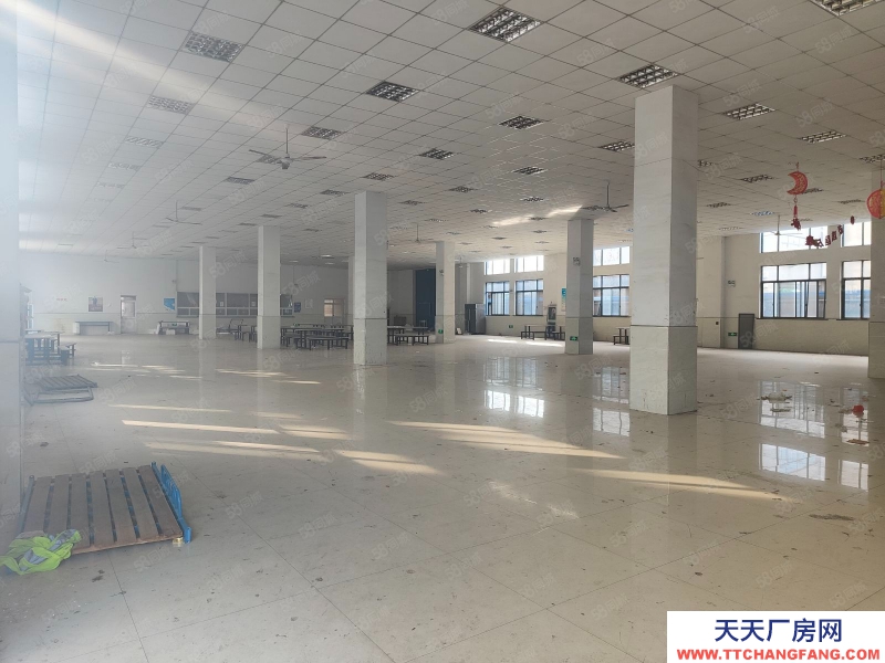 嘉兴秀洲(出售) 经开区独院厂房出售12000万，看房方便