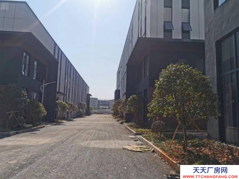 (出售)柳州鱼峰洛维工业区网驿大健康产业园600-6000平米厂房