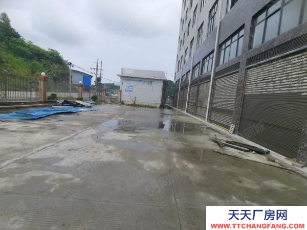 邵阳市隆回区 城东南工业园 全新厂房出租 双首层 工程 仓库 展厅