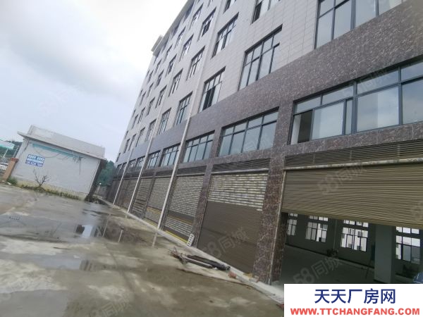 邵阳市隆回区 城东南工业园 全新厂房出租 双首层 工程 仓库 展厅