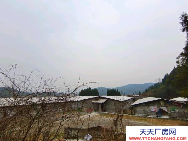 邵阳市隆回区 2000平养猪场出租，可养猪1000余头