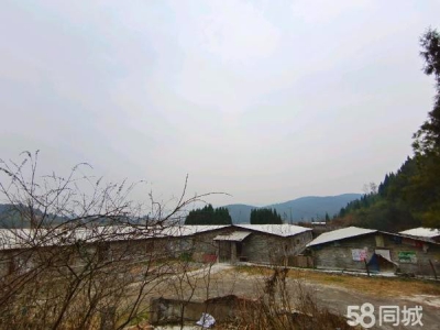 邵阳市隆回区 2000平养猪场出租，可养猪1000余头图2