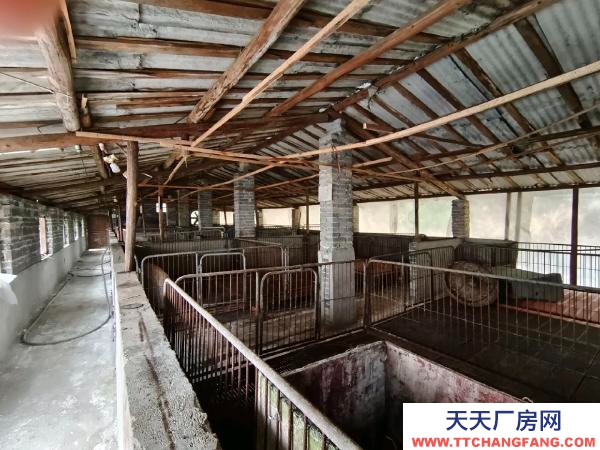邵阳市隆回区 2000平养猪场出租，可养猪1000余头