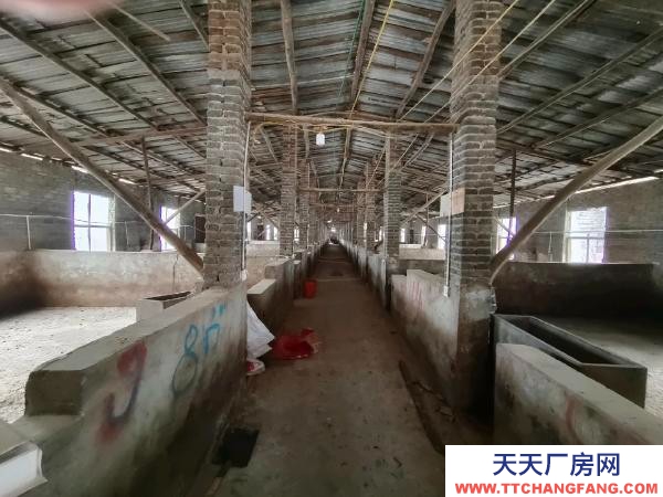 邵阳市隆回区 2000平养猪场出租，可养猪1000余头