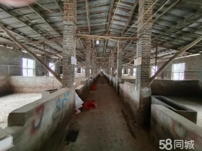 邵阳市隆回区 2000平养猪场出租，可养猪1000余头图1