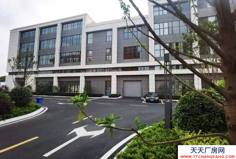天府新区视高板块科技型产业园，S5号线旁 50年产权独栋楼宇