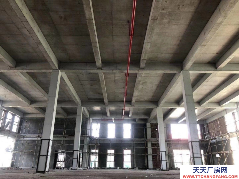 1366m²高标准工业厂房。低价现房。价格可面议。