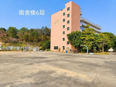 (出售) 广东清远单一层15000红本双证厂房出售图5