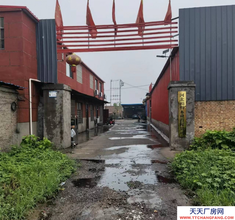 邯郸 成安县 工业区派出所后，安全