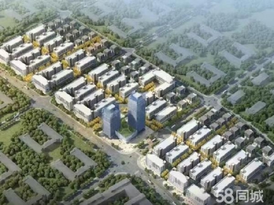 邵阳市隆回区 稀缺厂房，首付70万即可给自己的企业安家图1