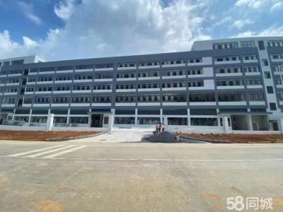 (出售) 清远英德市东华镇5000平方起万洋定制厂房图1