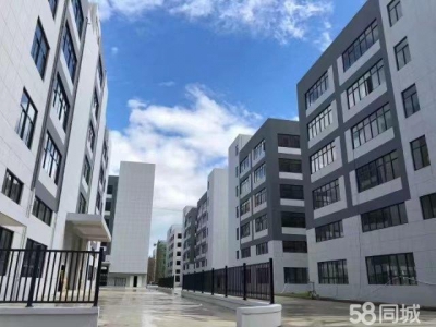 (出售) 清远英德市东华镇5000平方起万洋定制厂房图2
