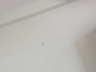 邯郸 大名县 带100立方速冻冷库图1