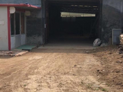 德州庆云厂房出租，四百多平，还有六间正房图1