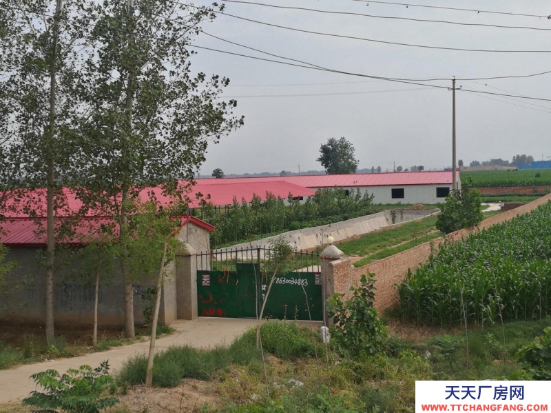 邯郸 大名县  厂房占地1000平，河北河南交界处