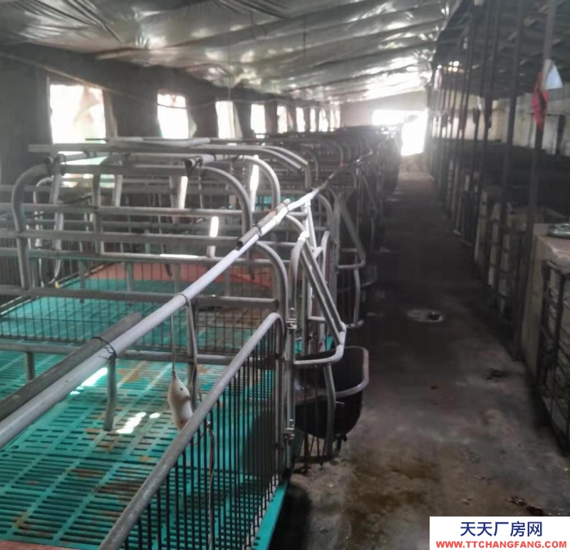 邯郸 大名县 养殖场，出租/出售，做工厂仓库都可以。