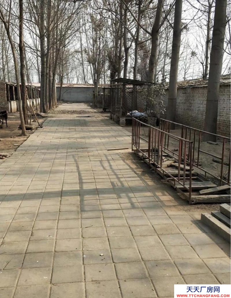 邯郸 大名县 养殖场，出租/出售，做工厂仓库都可以。
