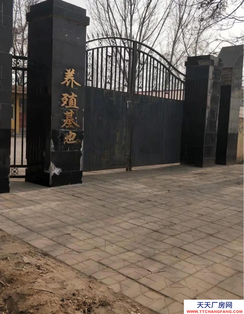 邯郸 大名县 养殖场，出租/出售，做工厂仓库都可以。