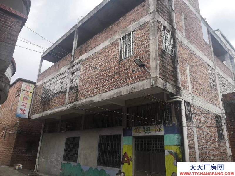 (出租) 清远清城龙塘中心小学旁整栋出租大车可进