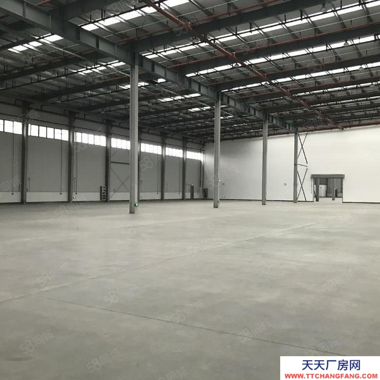 (出租) 清远市石角镇全新净高9米21万丙二类消防高台仓招租