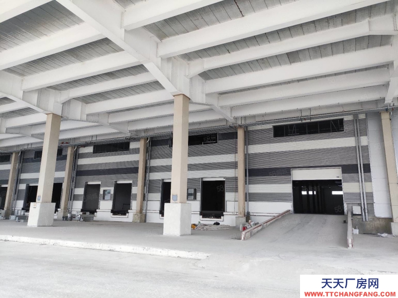 (出租) 清远广清园（20万方高台仓丙一类消防1.3米高台）可分租