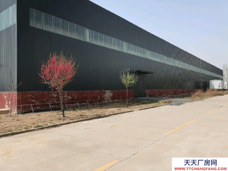 邯郸 磁县 个人工厂闲置厂房每平6元，实地拍摄实景图厂房内设备已腾清了。