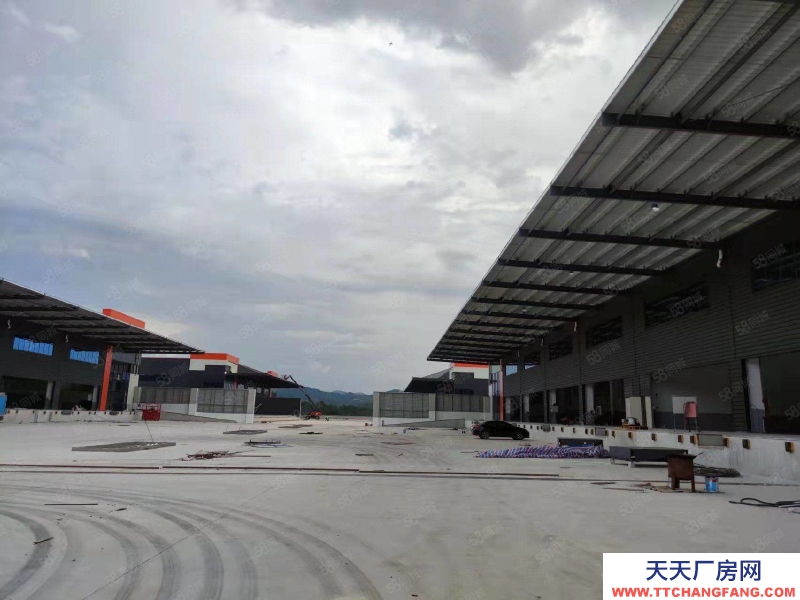 (出租) 清远高速清新区（28000方12米高台仓,各类冷库）丙级消防