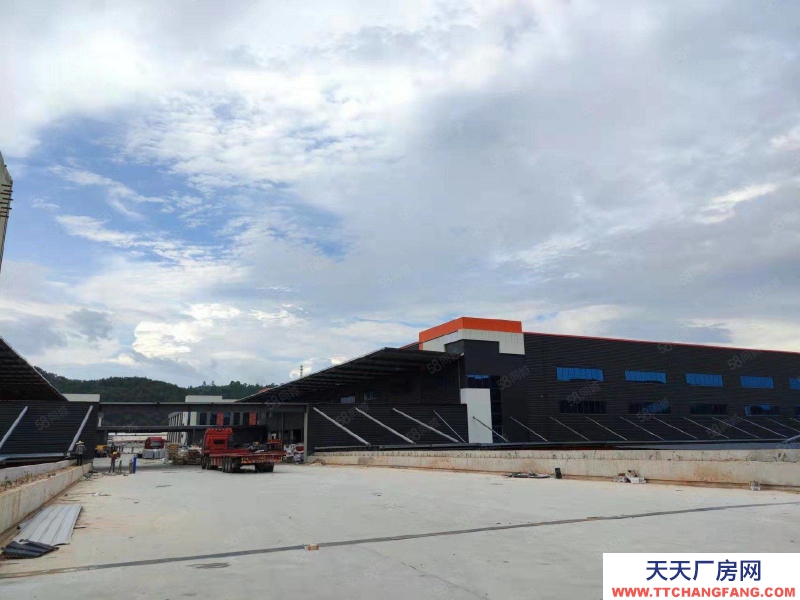 (出租) 清远高速清新区（28000方12米高台仓,各类冷库）丙级消防