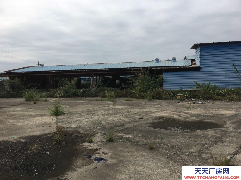 (出租) 清远清新区太和镇万寿村仓库