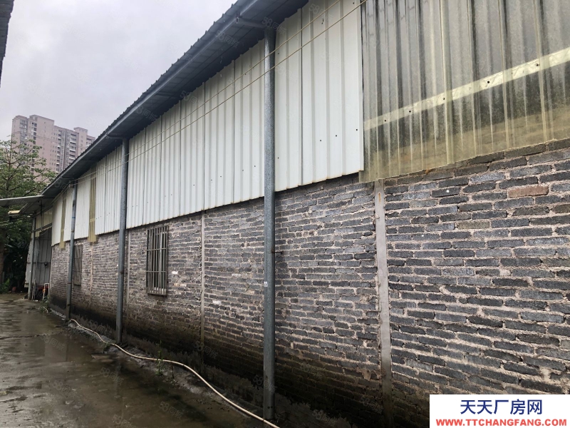 (出租) 清远英德市市区仓库出租800方三箱电