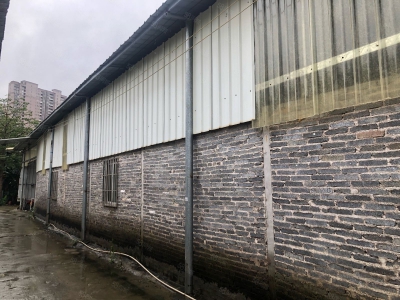(出租) 清远英德市市区仓库出租800方三箱电图1