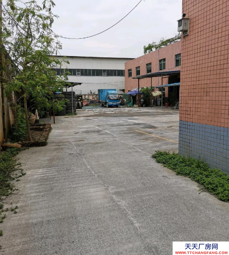 (出租) 清远标准建筑，首层4.5米，可做门面、旅业、饭店、工厂、仓库等