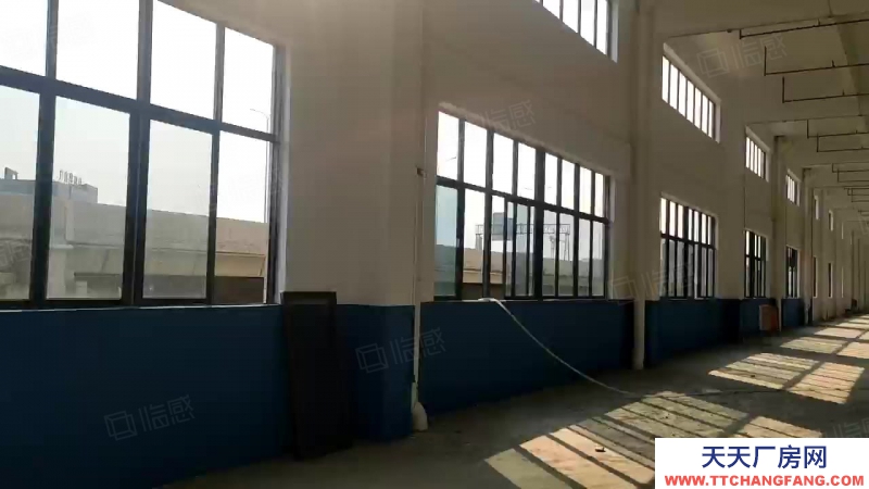 (出租) 肇庆1000平起租肇庆大旺高新区全新重工业丙二类消防厂房仓库出租