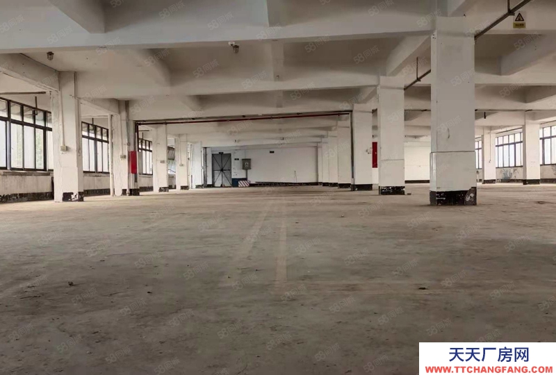 (出租) 肇庆端州特价厂房10元端州区睦岗大洲独院厂房吉地招租