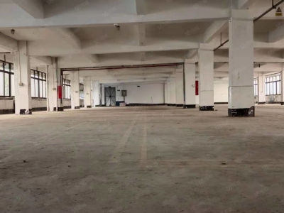 (出租) 肇庆端州特价厂房10元端州区睦岗大洲独院厂房吉地招租图1