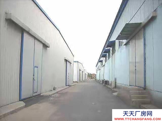 (出租)定西临洮县 北关纸坊新村18栋后院