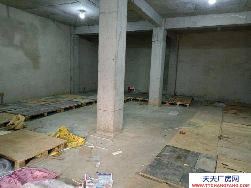 (出租) 定西通渭仓库，面积100平。