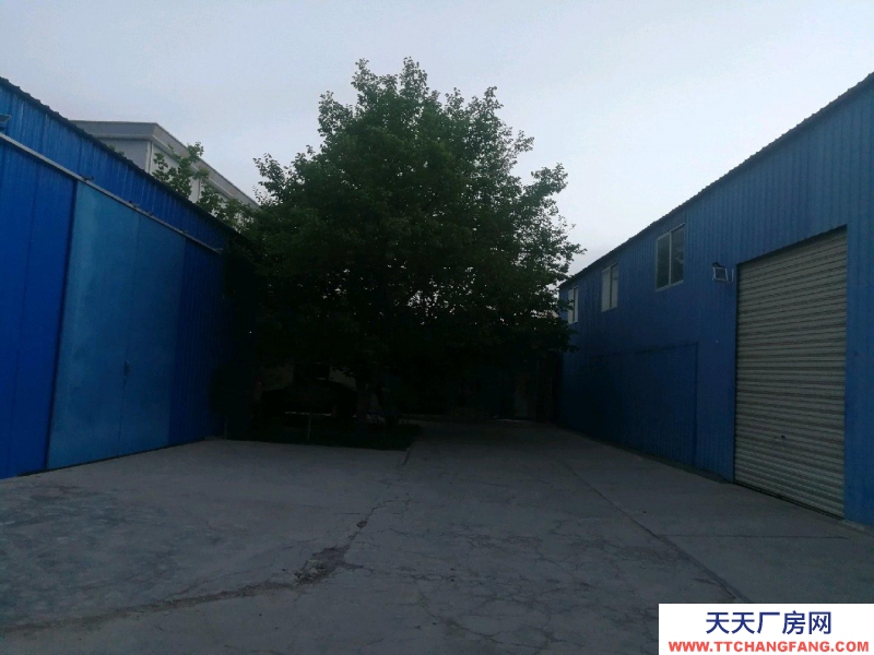 (出租) 张掖甘州仓库位于嘉禾农贸市场东侧交通便利，道路通畅。