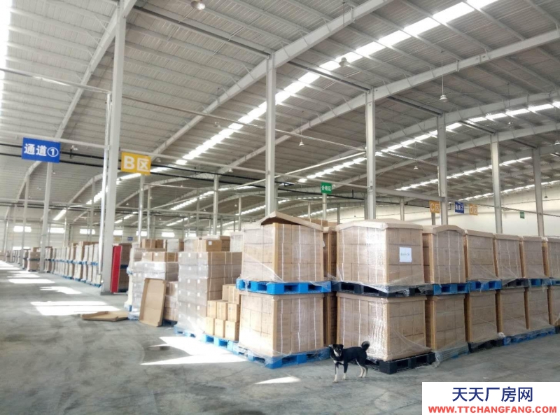 德州齐河10000平标准高台库出租