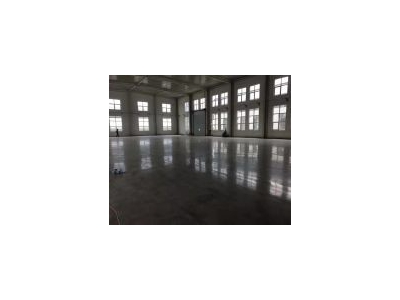 (出售) 50年大产权单层厂房，独栋带院，可环评图2