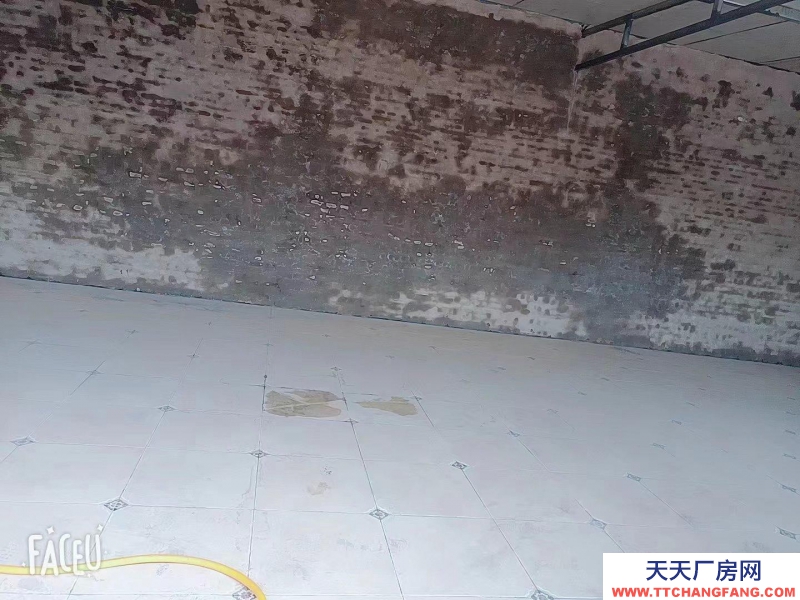 邯郸 肥乡县 大世界商贸